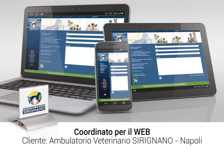 IRACE WEB